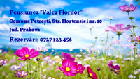Cۀr_i de vizitۀ cu fundal din natura model 04